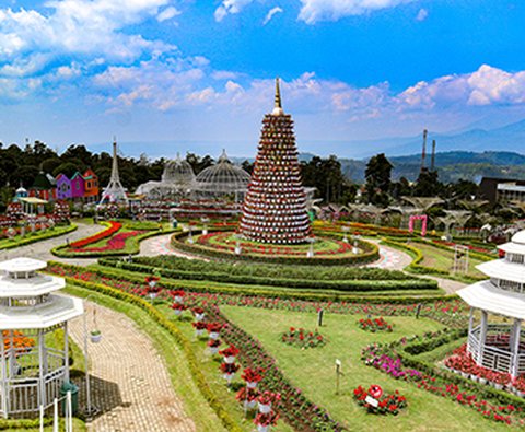 Taman Bunga Celosia