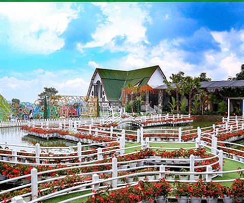 Taman Bunga Celosia