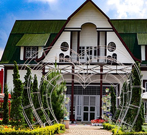 Taman Bunga Celosia