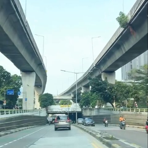 Kotoran