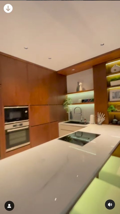 The Luxurious and Sophisticated Kitchen of Mona Ratuliu, Complete with a Dishwasher