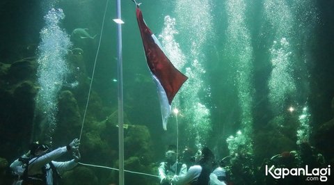 Momen Aaliyah Massaid saat Mengibarkan Bendera Merah Putih di Dalam Air Lima Tahun Lalu