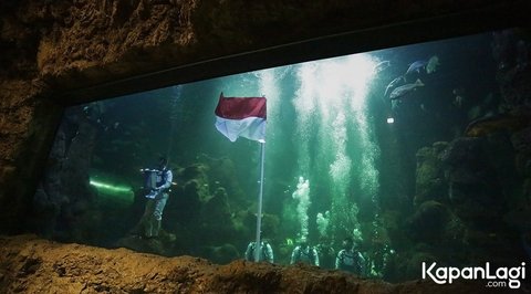 8 Vintage Photos of Aaliyah Massaid as a Flag Bearer of the Red and White Underwater, Still a Very Innocent Teenager