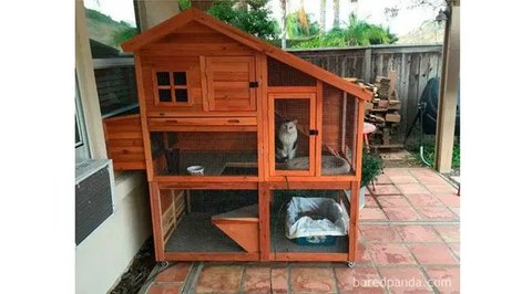 Potret kandang hewan peliharaan dari barang bekas. (sumber: Instagram/craftyfun_com via Bored Panda)