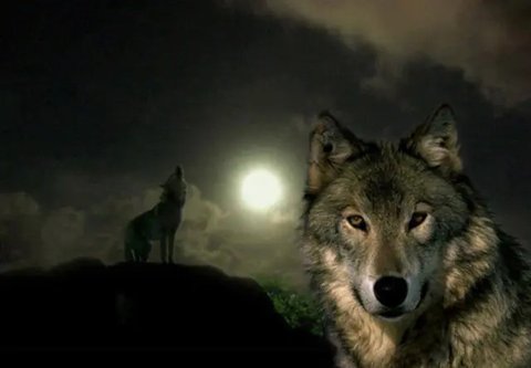 Ilustrasi hari kiamat. (Photo created by liuzishan on www.freepik.com)