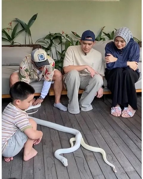 Potret anak Citra Kirana berani mainular peliharaan Irfan Hakim. (sumber: Instagram/citraciki)