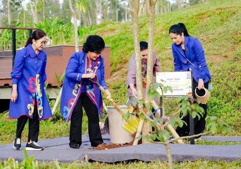 8 Foto Annisa Yudhoyono Saat Melakukan Kunjungan Kerja di IKN, Termasuk Menanam Pohon dan Melepaskan Benih Ikan