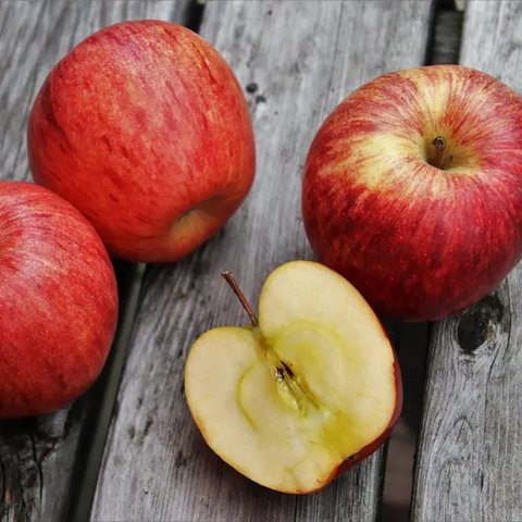 Ilustrasi Mengonsumsi Makanan Credit: pexels.com/Stephany