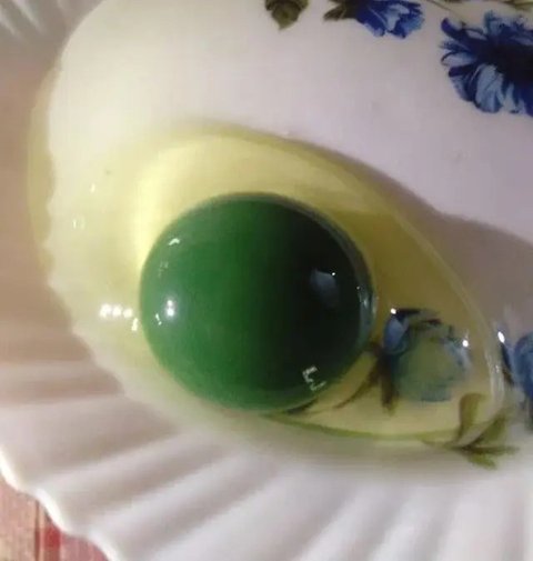 Warna Kuning Telur Ayam Jadi Putih dan Hijau (Sumber: Oddity Central)