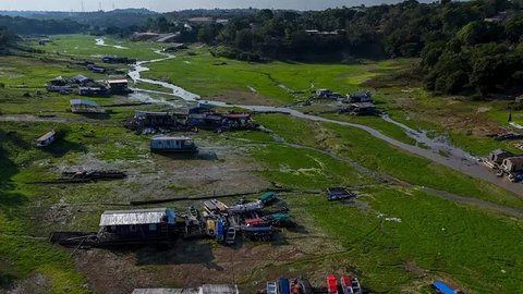 FOTO: Penampakan Danau di Amazonas Brasil Dilanda Kekeringan Parah, Perahu-Perahu Tak Lagi Bisa Berlayar