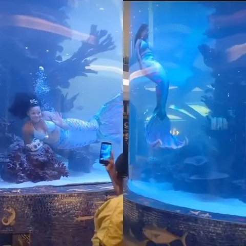Dengan mengenakan kostum putri duyung, para penyelam berenang bersama ikan-ikan yang ada dalam akuarium. Ada ikan pari hingga dan ikan-ikan yang lebih kecil. (AP Photo/Lee Jin-man)
