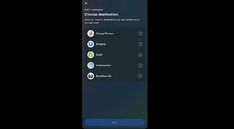Instagram Stories (Sumber: Instagram)