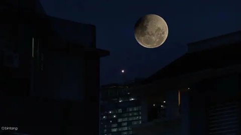 Fasilitas baru yang menyerupai permukaan bulan telah dibuka di Jerman. Fasilitas LUNA akan membantu para astronot berlatih untuk pendaratan di bulan di masa mendatang. (ESA)