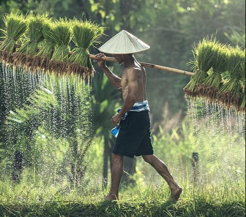 Cak Imin Janjikan Masalah Sektor Pertanian Beres Tahun Ini