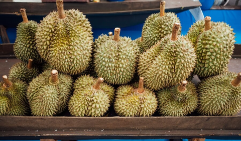 Ilustrasi Durian