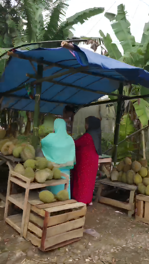 Lokasi Ini Jadi Surganya Durian di Serang, Penjualnya Ada di Sepanjang Jalan Kampung