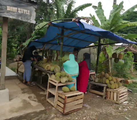 Lokasi Ini Jadi Surganya Durian di Serang, Penjualnya Ada di Sepanjang Jalan Kampung