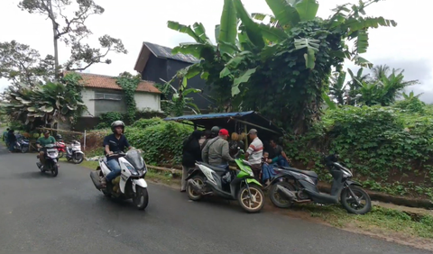 Dipadati Pencinta Durian