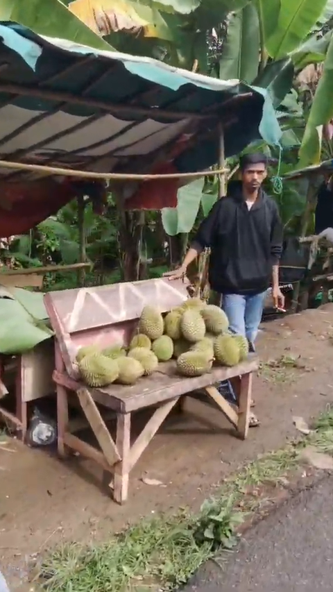 Lokasi Ini Jadi Surganya Durian di Serang, Penjualnya Ada di Sepanjang Jalan Kampung