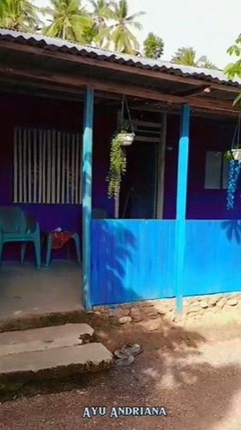 Dari luar tampak rumah kayu tersebut didominasi warna biru