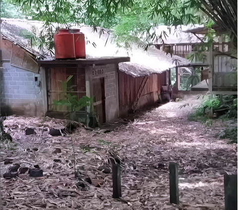 Aesthetic House Portrait in Sleman, Yogyakarta Previously a Goat Pen Area