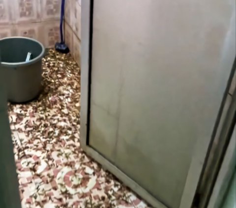 Creepy! The Appearance of a Bathroom Filled with Termites, Netizens: It Looks Like an Abandoned House