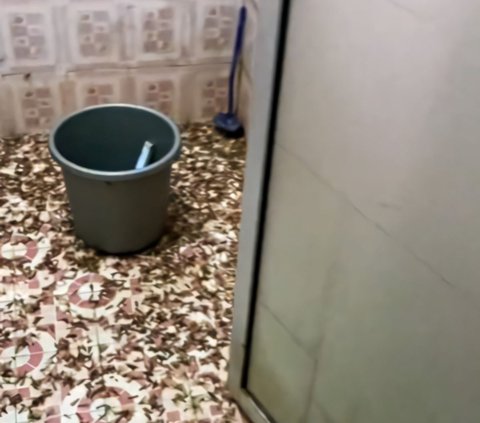 Chilling! Sight of Bathroom Filled with Cockroaches, Netizens: Looks Like an Abandoned House