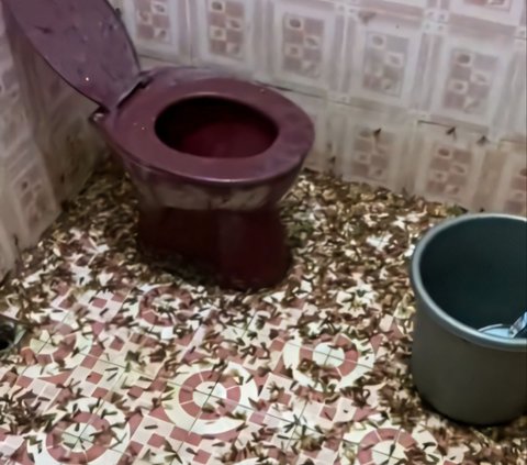 Chilling! Sight of Bathroom Filled with Cockroaches, Netizens: Looks Like an Abandoned House