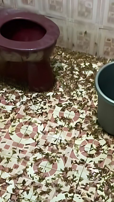 Make Shivering! Appearance of Bathroom Filled with Cockroaches, Netizens: Looks Like an Abandoned House