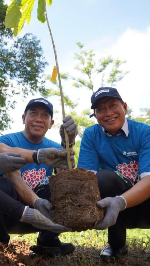 Hari Gerakan Satu Juta Pohon Sedunia, Pertamina Lestarikan Lebih dari 6 Juta Pohon