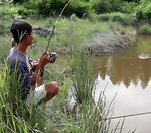 The Mystery of the Half-Buried Corpse: When the Desire to Fish Turns into Horror in Tanah Laut