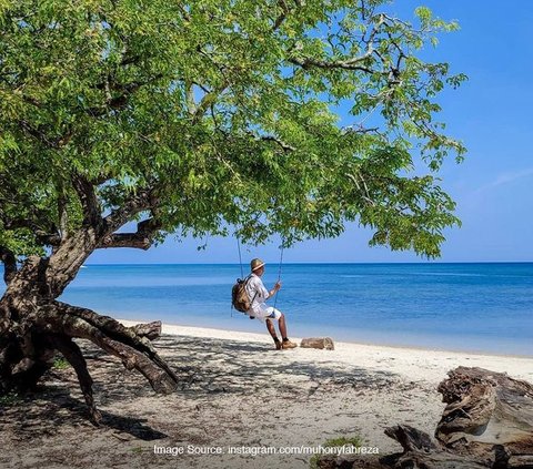 4 Fakta Taman Nasional Baluran Tutup Sebulan Penuh, Buka Kembali 16 Februari 2024