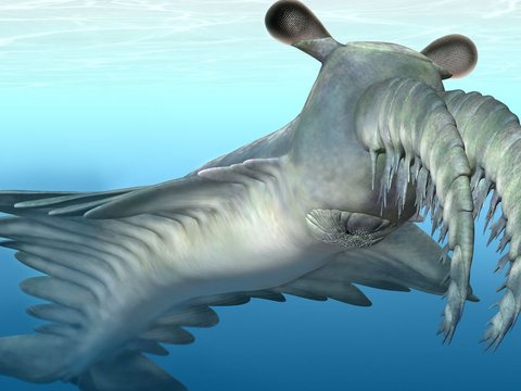 Ancient Animal Uses Strange Spiky Horn to Capture Prey