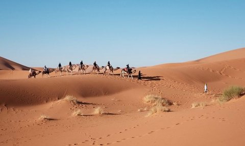 Unik, Gurun Sahara yang Identik dengan Panas Ternyata Pernah Turun Salju Hingga Beberapa Kali