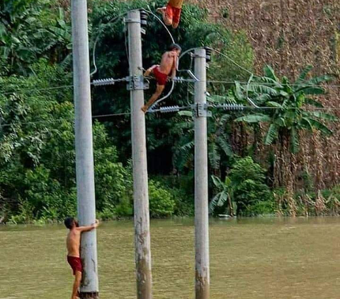 Viral Warga Harus Bayar Rp11 Juta untuk Pindahkan Tiang Listrik, Begini Aturan Sebenarnya