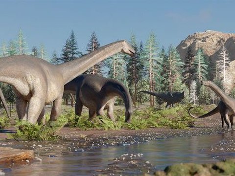 New Species of Sauropod Dinosaur Discovered in Argentina