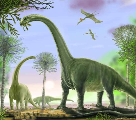 New Species of Sauropod Dinosaur Discovered in Argentina