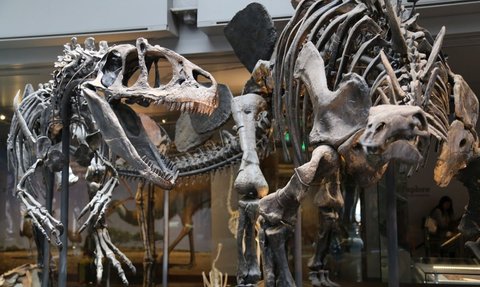 Tulang Dinosaurus Pertama Mungkin Telah Ditemukan Hampir 1.000 Tahun Lalu di Afrika