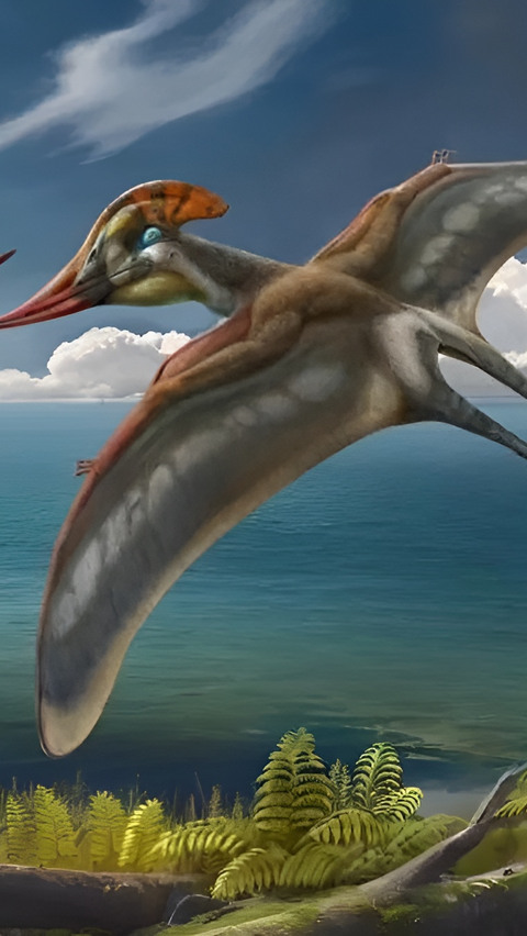 Spesies Baru Pterosaurus Tanpa Gigi Ditemukan di China