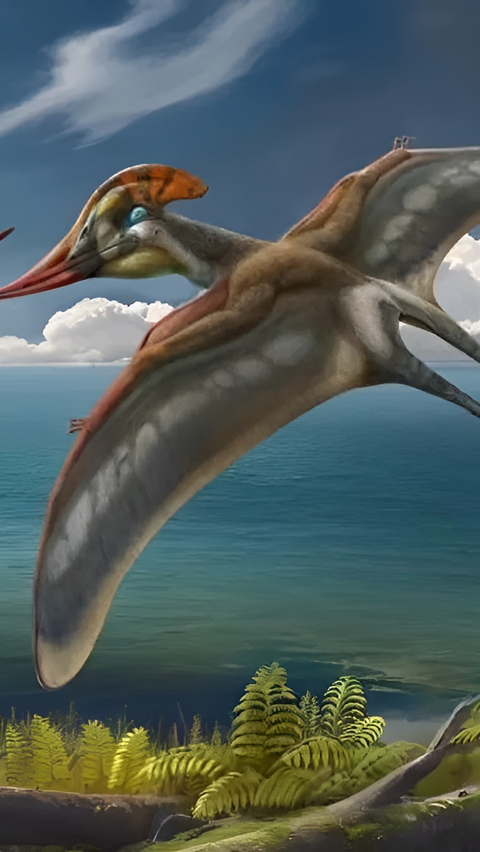 New Species of Toothless Pterosaur Found in China