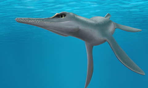 New Species of Plesiosaurus Successfully Identified in the United States