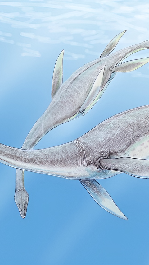 Spesies Baru Plesiosaurus Berhasil Diidentifikasi di Amerika Serikat