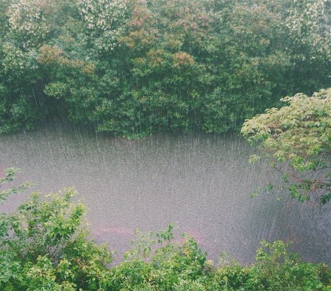 The Benefits of Rainwater According to Islam, A Traditional Medicine Since the Time of Sayyidina Ali