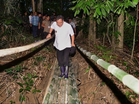 Perjuangan Pj Gubernur Bahtiar Galakkan Budidaya Pisang Cavendish di Sulsel