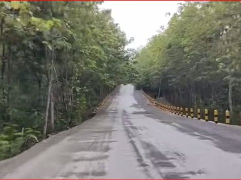 Potret Terkini Pembangunan Jalan Tembus Blora-Ngawi, Seperti Jalan Tol di Tengah Hamparan 