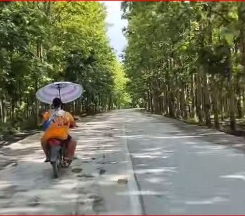 Potret Terkini Pembangunan Jalan Tembus Blora-Ngawi, Seperti Jalan Tol di Tengah Hamparan 