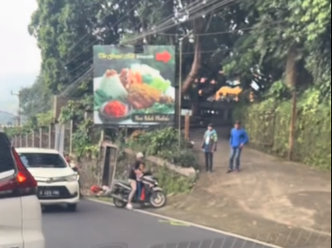 Viral Penampakan Ular Hijau Bikin Macet Jalan, Pemotor Takut Mau Lewat