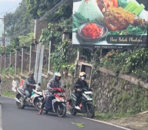 Viral Penampakan Ular Hijau Bikin Macet Jalan, Pemotor Takut Mau Lewat