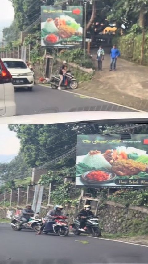 Viral Penampakan Ular Hijau Bikin Macet Jalan, Pemotor Takut Mau Lewat