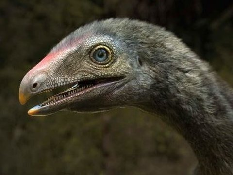 New Species of Pterosaur, Similar to Raptor but with Long Arms and Sword-Like Claws